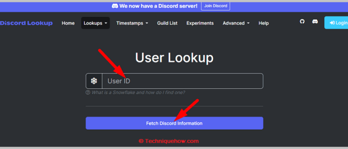 Buscar usuario de Discord por nombre o nombre de usuario Click on the Fetch Discord Information option