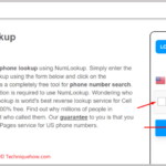 click on the NumLookup button