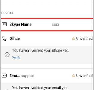 Skype username