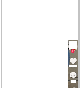 TikTok Share Option