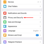 locate the option Privacy and Security on iPhone