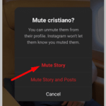Cómo saber si alguien te ha silenciado en Instagram DM If you mute someone on Instagram will they know