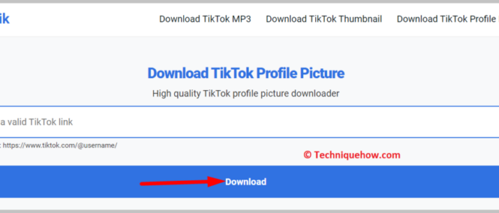 Visor de imágenes de perfil de TikTok | Descargar TikTok DP Click on Download to save