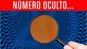 Descubre los Números Ocultos